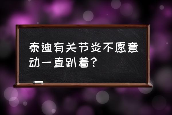 泰迪生病后要怎么护理它 泰迪有关节炎不愿意动一直趴着？