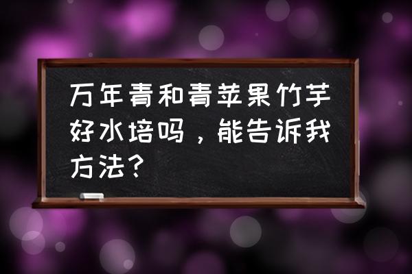 水培竹竽冬天怎么养 万年青和青苹果竹芋好水培吗,能告诉我方法? 水培竹竽冬天怎么养 万年青和青苹果竹芋好水培吗,能告诉我方法?