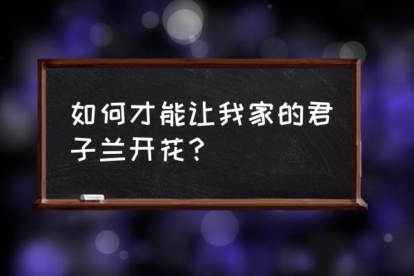 怎样使君子兰一年四季全开花 如何才能让我家的君子兰开花？