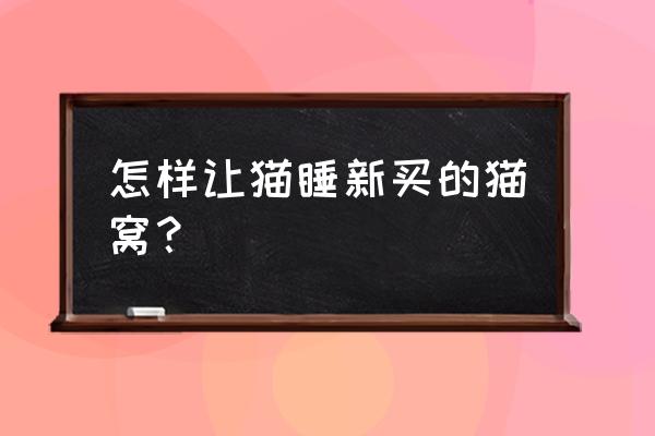 猫咪晚上怎么睡最舒服 怎样让猫睡新买的猫窝? 猫咪晚上怎么睡最舒服 怎样让猫睡新买的猫窝?