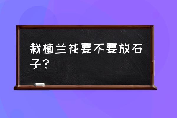 蛭石和麦饭石种兰花哪个好 栽植兰花要不要放石子? 蛭石和麦饭石种兰花哪个好 栽植兰花要不要放石子?