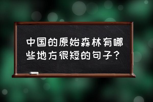 描写原始森林的句子对比手法 中国的原始森林有哪些地方很短的句子? 描写原始森林的句子对比手法 中国的原始森林有哪些地方很短的句子?