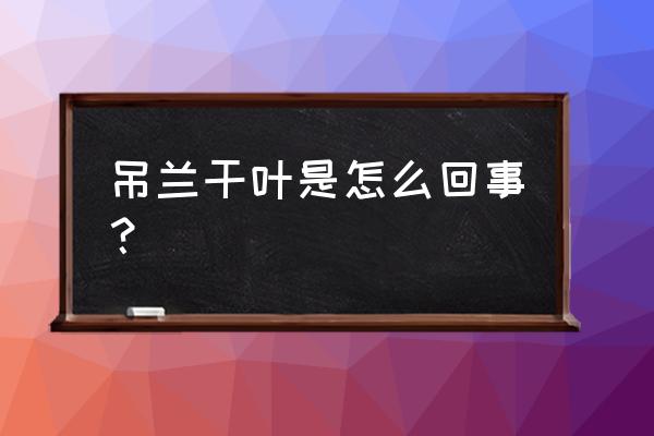 珍珠吊兰越养越干了怎么办 吊兰干叶是怎么回事? 珍珠吊兰越养越干了怎么办 吊兰干叶是怎么回事?