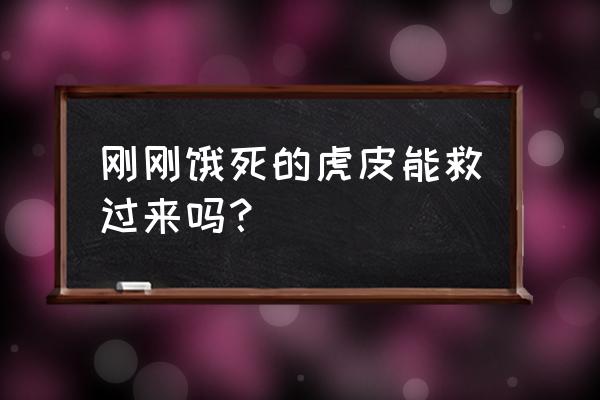 虎皮鹦鹉幼鸟死了是什么原因 刚刚饿死的虎皮能救过来吗? 虎皮鹦鹉幼鸟死了是什么原因 刚刚饿死的虎皮能救过来吗?