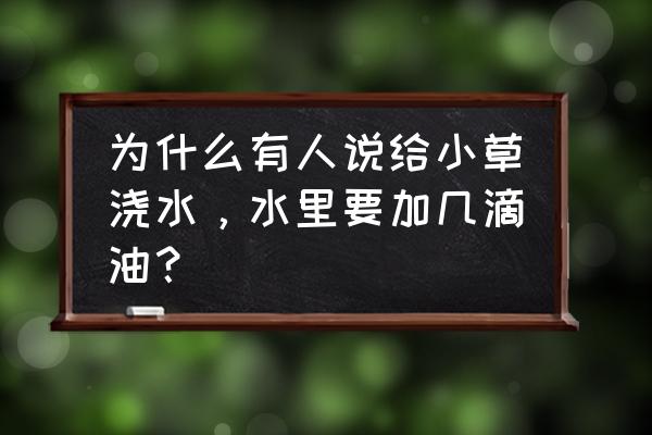 植物浇水有什么妙招 为什么有人说给小草浇水，水里要加几滴油？