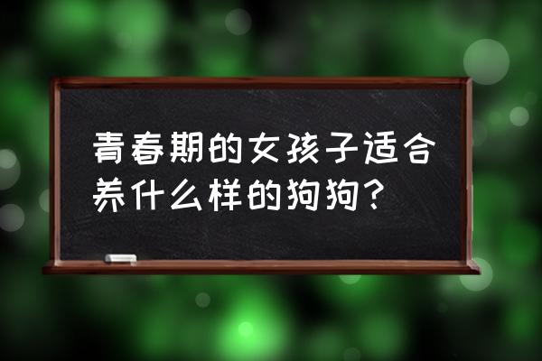 狗狗中什么适合新手养 青春期的女孩子适合养什么样的狗狗？