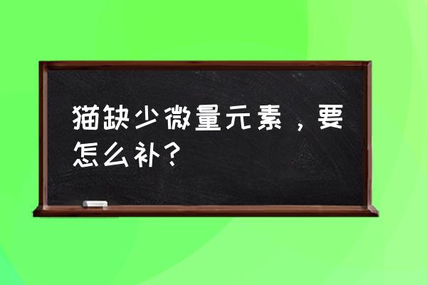 猫咪如何喂养营养更全面 猫缺少微量元素，要怎么补？
