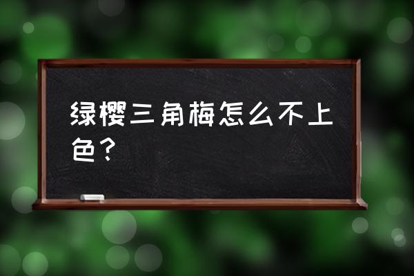三角梅绿樱怎么掉叶子也不开花 绿樱三角梅怎么不上色? 三角梅绿樱怎么掉叶子也不开花 绿樱三角梅怎么不上色?