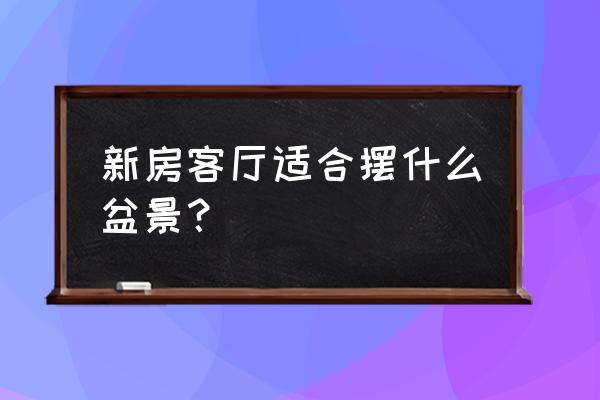 农村什么树能做室内盆景 新房客厅适合摆什么盆景？