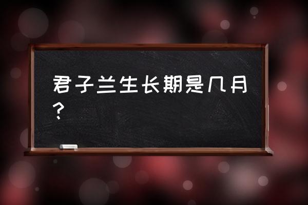君子兰生长的最佳时间和方法 君子兰生长期是几月? 君子兰生长的最佳时间和方法 君子兰生长期是几月?