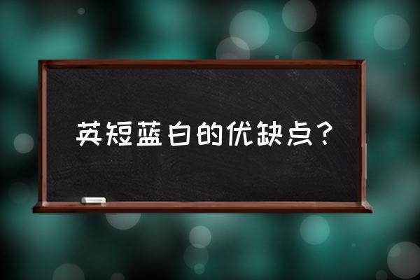 蓝白什么时候掉毛掉得最厉害 英短蓝白的优缺点? 蓝白什么时候掉毛掉得最厉害 英短蓝白的优缺点?