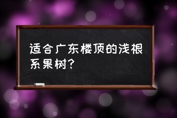懒人榨石榴汁 适合广东楼顶的浅根系果树? 懒人榨石榴汁 适合广东楼顶的浅根系果树?