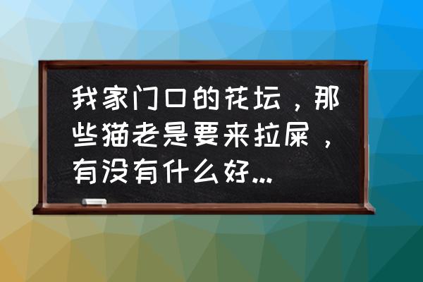 猫老在花园里的土里排便怎么纠正 我家门口的花坛,那些猫老是要来拉屎,有没有什么好的办法? 猫老在花园里的土里排便怎么纠正 我家门口的花坛,那些猫老是要来拉屎,有没有什么好的办法?
