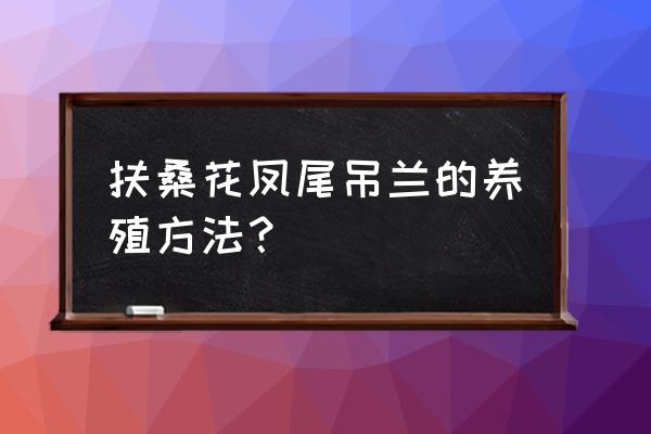 扶桑冬季叶子掉光春季不发芽 扶桑花凤尾吊兰的养殖方法? 扶桑冬季叶子掉光春季不发芽 扶桑花凤尾吊兰的养殖方法?