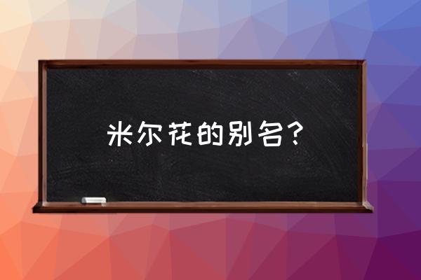 适合海拔1500米盆栽花木 米尔花的别名? 适合海拔1500米盆栽花木 米尔花的别名?