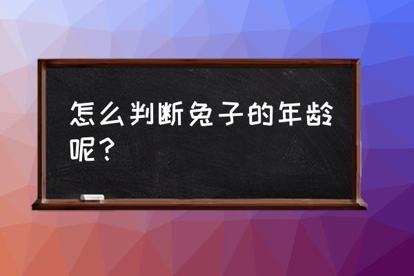 怎么判断小兔的年龄 怎么判断兔子的年龄呢? 怎么判断小兔的年龄 怎么判断兔子的年龄呢?