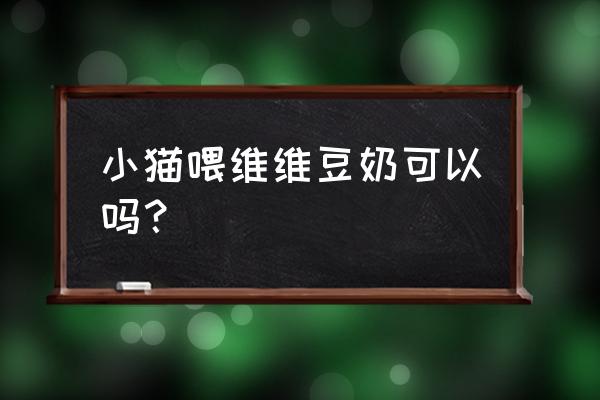 对猫咪无害的室内绿植 小猫喂维维豆奶可以吗? 对猫咪无害的室内绿植 小猫喂维维豆奶可以吗?