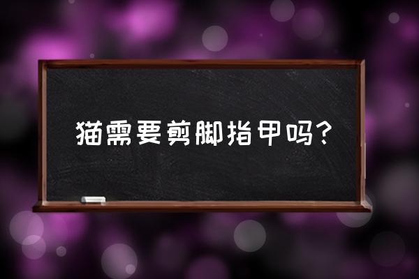 猫脚毛修剪方法 猫需要剪脚指甲吗? 猫脚毛修剪方法 猫需要剪脚指甲吗?