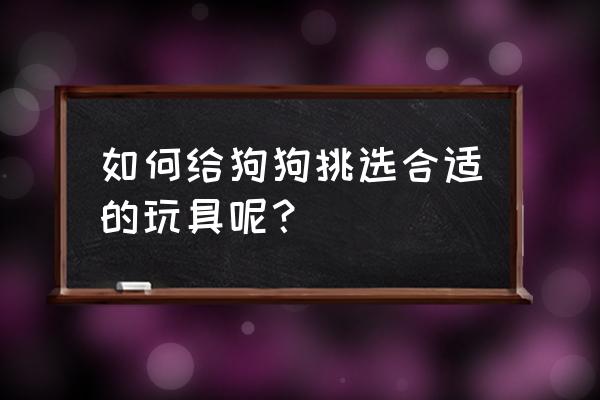 如何给狗狗选合适的造型 如何给狗狗挑选合适的玩具呢? 如何给狗狗选合适的造型 如何给狗狗挑选合适的玩具呢?