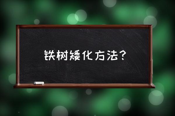 怎样把铁树的叶子养得短小粗壮 铁树矮化方法? 怎样把铁树的叶子养得短小粗壮 铁树矮化方法?