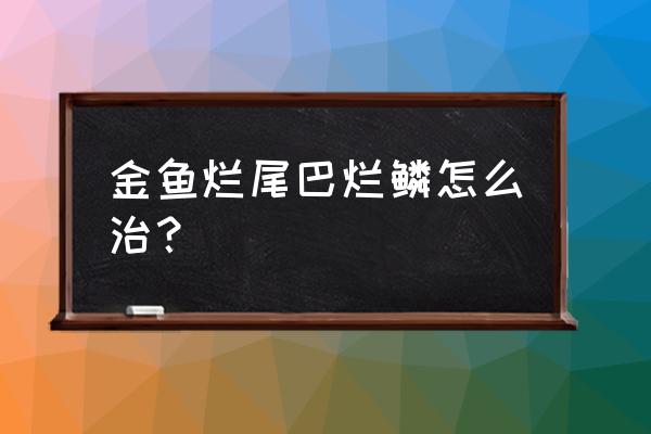 金鱼掉鳞片烂尾怎么办 金鱼烂尾巴烂鳞怎么治? 金鱼掉鳞片烂尾怎么办 金鱼烂尾巴烂鳞怎么治?