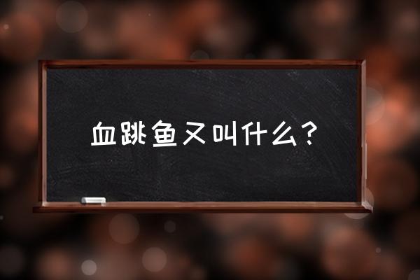 弹涂鱼品种大全 血跳鱼又叫什么? 弹涂鱼品种大全 血跳鱼又叫什么?